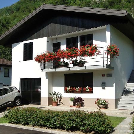Apartma Jezero 모스트나소시 외부 사진
